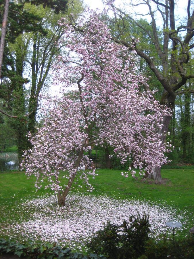 Gartenzimmer Im Schloss Neuhausen Neuhausen  외부 사진