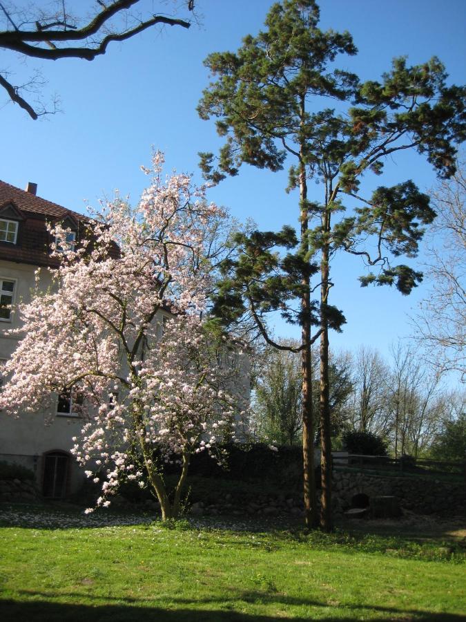 Gartenzimmer Im Schloss Neuhausen Neuhausen  외부 사진